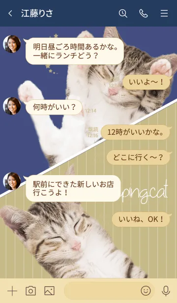 [LINE着せ替え] お昼寝ねこの画像4