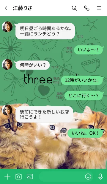 [LINE着せ替え] 3匹のねこの画像4