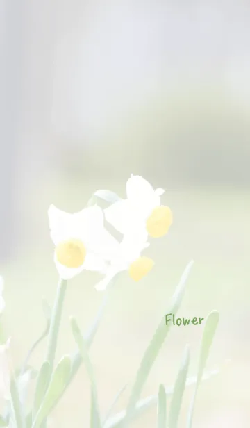 [LINE着せ替え] 花のきせかえ45の画像1