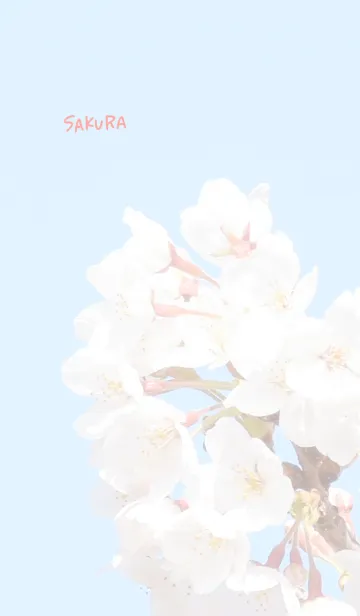 [LINE着せ替え] 〜桜のきせかえ20〜の画像1