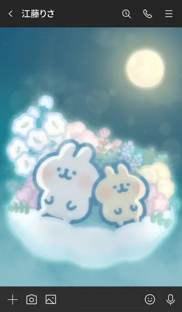 [LINE着せ替え] .*Rabbits in the Moon Garden*.の画像3