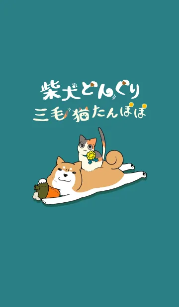 [LINE着せ替え] 柴犬どんぐり【着せ替え】の画像1