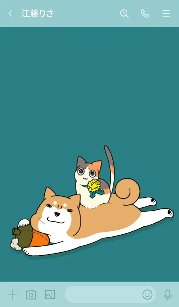 [LINE着せ替え] 柴犬どんぐり【着せ替え】の画像3