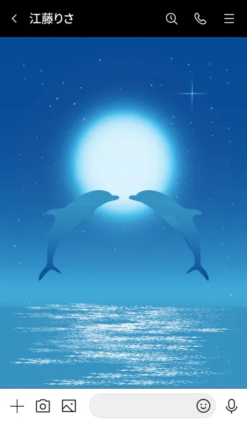 [LINE着せ替え] Moonlight Dolphin...2の画像3