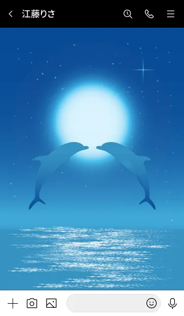 [LINE着せ替え] Moonlight Dolphin...3の画像3
