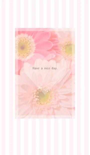 [LINE着せ替え] Pink Gerbera Theme ♡ -2021- 18の画像1