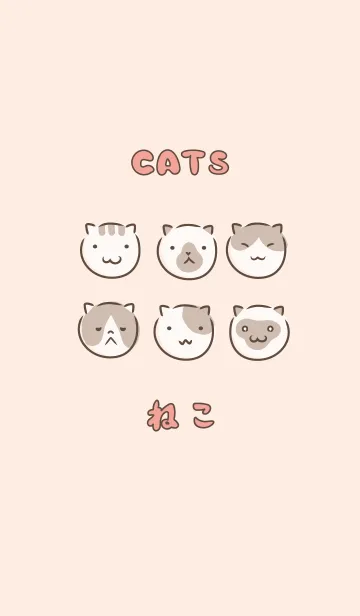 [LINE着せ替え] まいにちねこちゃんずの画像1