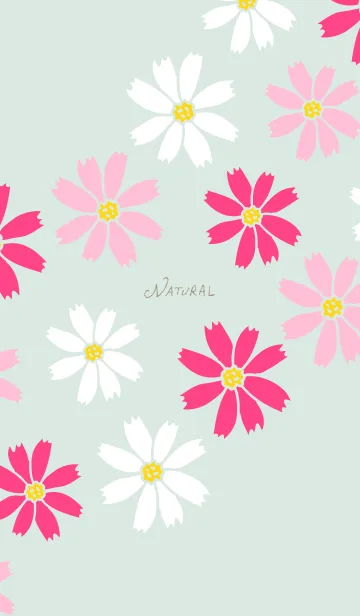 [LINE着せ替え] コスモス くすみグリーン5の画像1