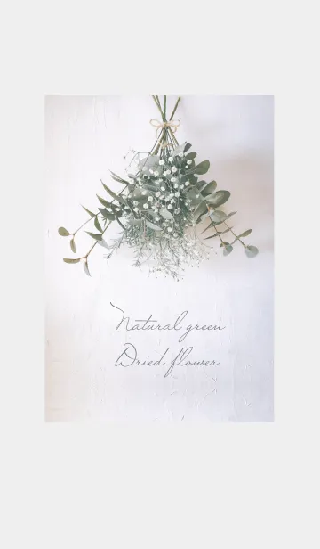 [LINE着せ替え] Natural green Dried flowerの画像1