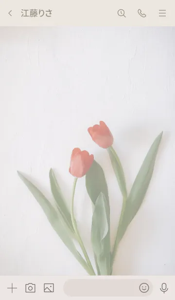 [LINE着せ替え] Tulips flower_springの画像3