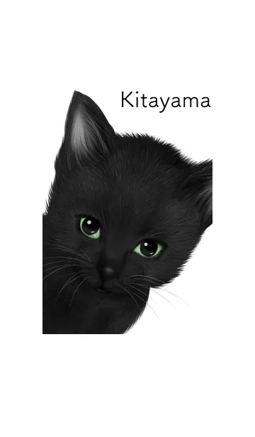 [LINE着せ替え] きたやま用可愛い黒猫子猫の画像1