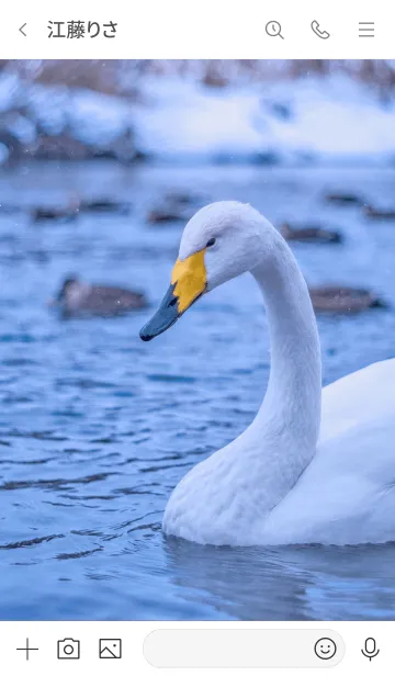 [LINE着せ替え] ChillFace 2の画像3