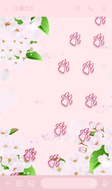 [LINE着せ替え] 桜の足跡（肉球）の画像3