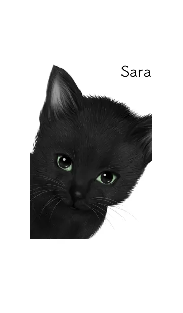 [LINE着せ替え] さら用可愛い黒猫子猫の画像1