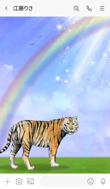 [LINE着せ替え] 虎と虹 Tiger rainbowの画像3