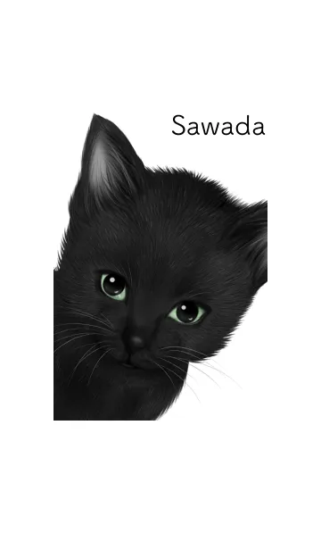 [LINE着せ替え] さわだ用可愛い黒猫子猫の画像1