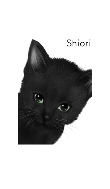 [LINE着せ替え] しおり用可愛い黒猫子猫の画像1