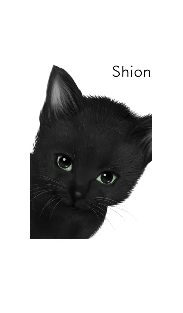 [LINE着せ替え] しおん用可愛い黒猫子猫の画像1