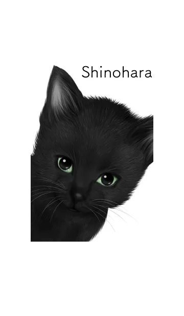 [LINE着せ替え] しのはら用可愛い黒猫子猫の画像1