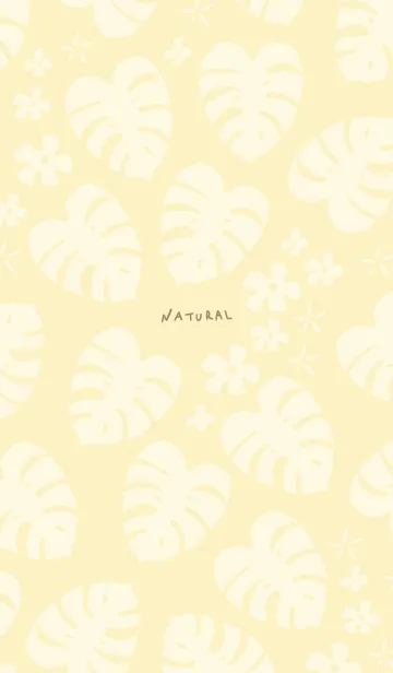 [LINE着せ替え] モンステラ 白 ランダム30の画像1