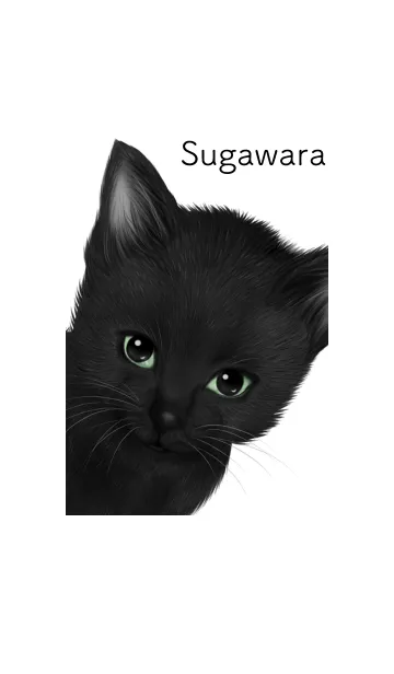 [LINE着せ替え] すがわら用可愛い黒猫子猫の画像1