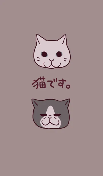 [LINE着せ替え] 猫です。の画像1