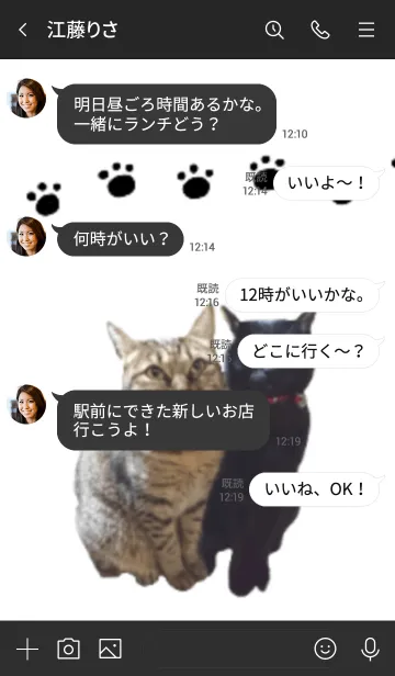 [LINE着せ替え] YUKANCO CAT2の画像4