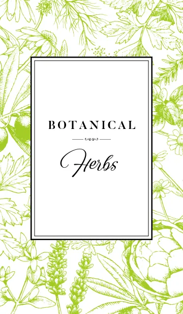 [LINE着せ替え] BOTANICAL - Herbs（再販）の画像1