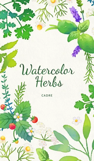 [LINE着せ替え] Watercolor Herbs（再販）の画像1