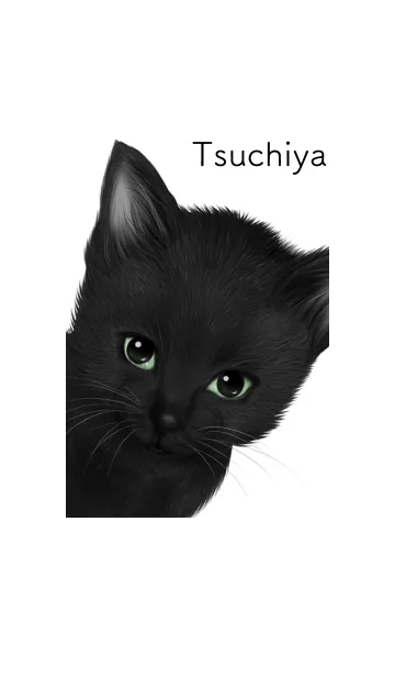 [LINE着せ替え] つちや用可愛い黒猫子猫の画像1
