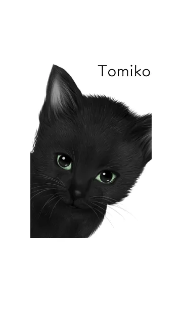 [LINE着せ替え] とみこ用可愛い黒猫子猫の画像1