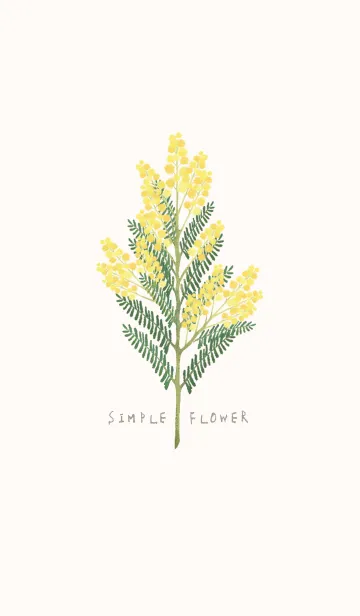 [LINE着せ替え] SIMPLE FLOWER -ミモザ-の画像1