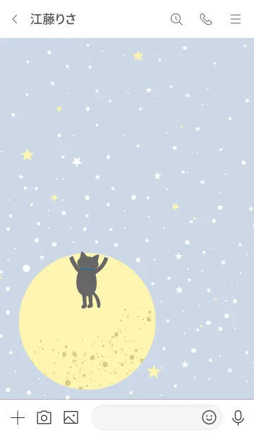 [LINE着せ替え] 星を捕まえたい猫の画像3