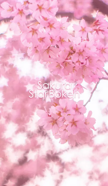 [LINE着せ替え] Sakura StarBokehの画像1