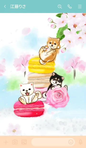 [LINE着せ替え] 豆柴マカロン4（桜、柴犬、春）の画像3