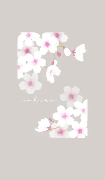 [LINE着せ替え] ～桜～ Vol.3の画像1