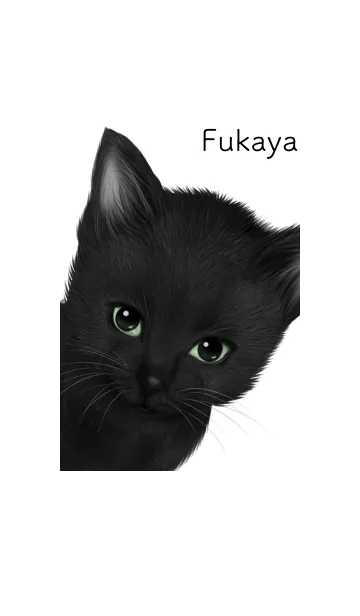 [LINE着せ替え] ふかや用可愛い黒猫子猫の画像1