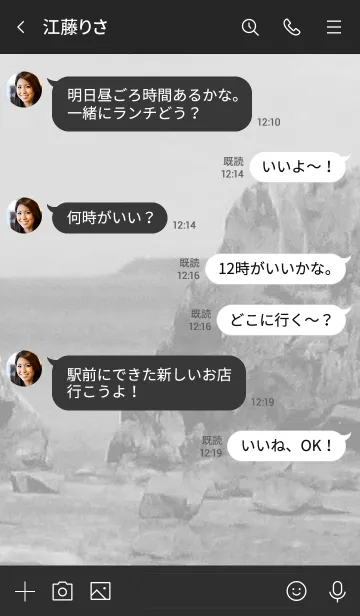 [LINE着せ替え] 昔から続く岩柱から見える海のモノクロ風景の画像4