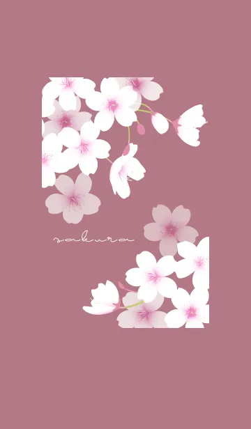 [LINE着せ替え] ～桜～ Vol.7の画像1