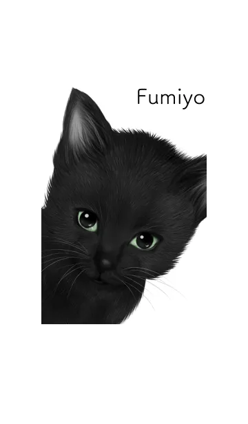 [LINE着せ替え] ふみよ用可愛い黒猫子猫の画像1