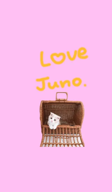[LINE着せ替え] Juno.の画像1