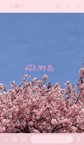 [LINE着せ替え] 桜と野鳥の画像3