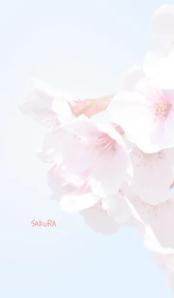 [LINE着せ替え] 〜桜のきせかえ27〜の画像1