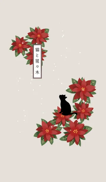 [LINE着せ替え] 【誕生花】12月・猫と猩々木(ポインセチア)の画像1