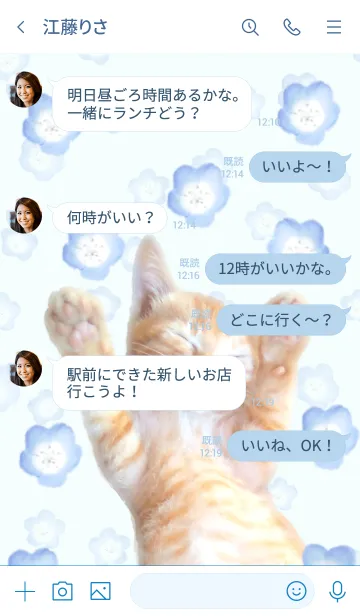 [LINE着せ替え] 茶トラ 猫 と ネモフィラ ブルー 着せ替えの画像4