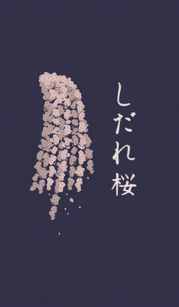 [LINE着せ替え] しだれ桜 + 銀色の画像1