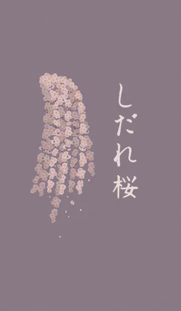 [LINE着せ替え] しだれ桜 + 桃色の画像1