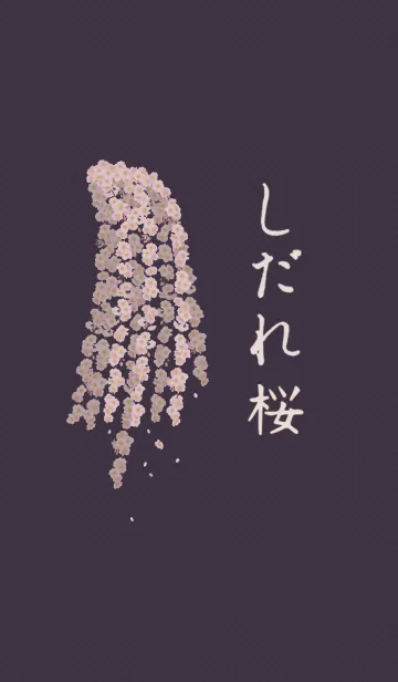 [LINE着せ替え] しだれ桜 + 紺色の画像1