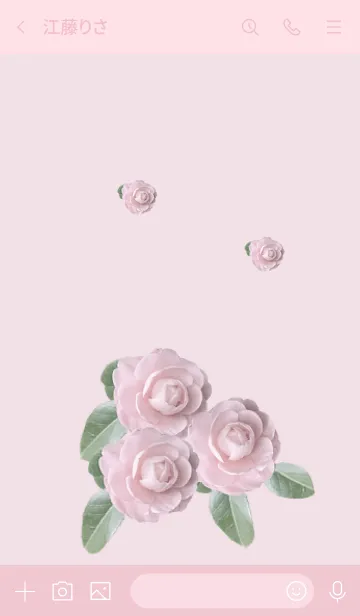 [LINE着せ替え] 花シリーズ-美しい椿、花の言語の画像3