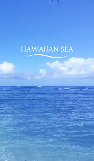 [LINE着せ替え] HAWAIIAN SEA.の画像1